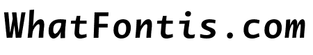 Novel Mono Pro Bold It