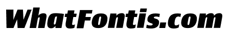 Newbery Sans Pro Xp ExtraBold It