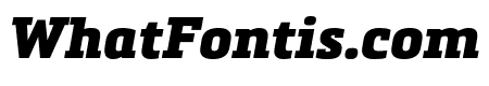 Metronic Slab Narrow Black Italic