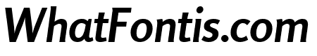 Rosario Bold Italic