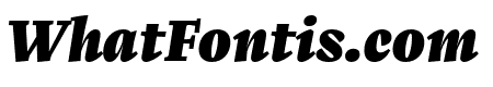Zenon Black Italic