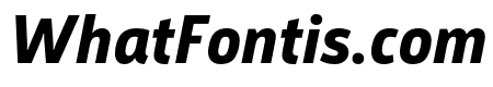Argumentum Bold Italic