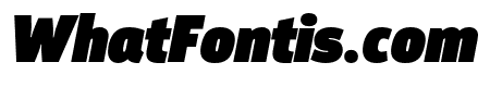 Argumentum Ultra Italic