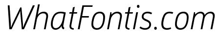 Argumentum Ultra Light Italic