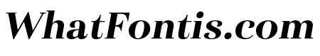 Haboro Cond Black Italic