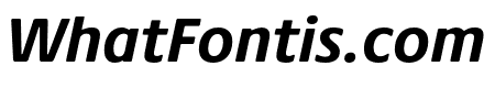 Praxis Next Bold Italic