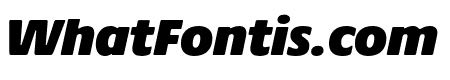 Praxis Next ExtraBlack Italic