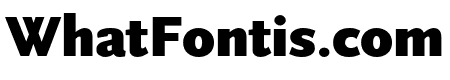 Scala Sans Pro Black