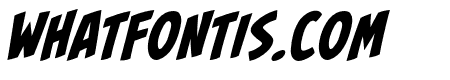 Fight to the Finish BB Bold Italic