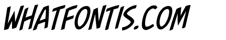 Fight to the Finish BB Italic