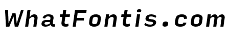 Input Sans Narrow Medium Italic