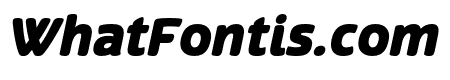 Terfens Black Italic