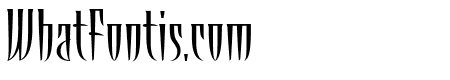 Talon Regular