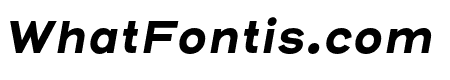 Henderson Sans Basic Bold Italic