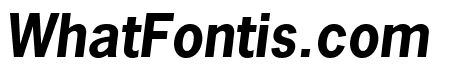 News Gothic Std Bold Oblique