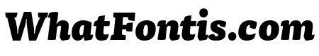Tisa Pro Black Italic
