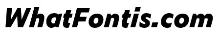 Zeitung Pro Extrabold Italic