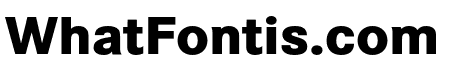 Corporate S ExtraBold