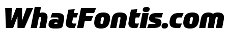 Prometo Black Italic
