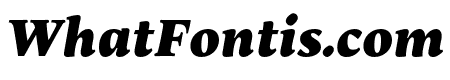 Maecenas Black Italic