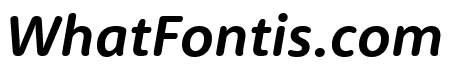 RooneySans Bold Italic