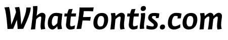 Winco Bold Italic