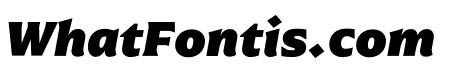 Arpona Black Italic
