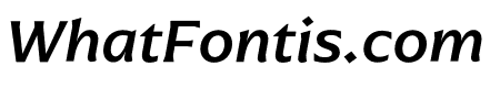 Arpona Medium Italic