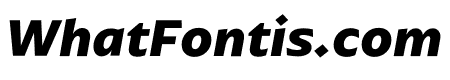 ArponaSans Bold Italic