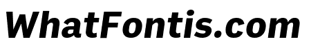 Output Sans Black Italic