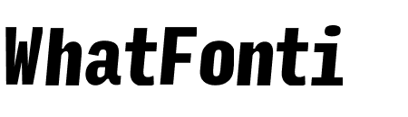Input Mono Compressed Black Italic