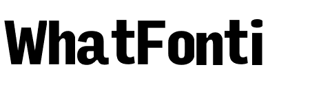 Input Sans Compressed Black