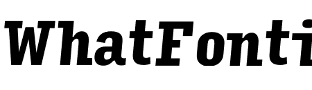 Input Serif Compressed Black Italic