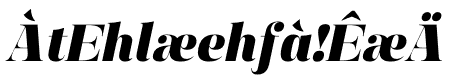 Manison Black Italic