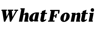 Financier Text Black Italic