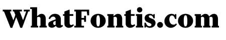 Financier Text Black