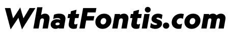 Geograph Black Italic