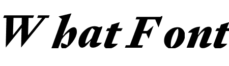 Signifier Black Italic