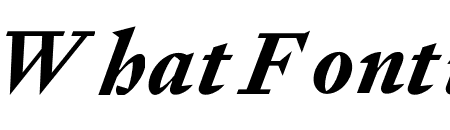 Signifier Bold Italic