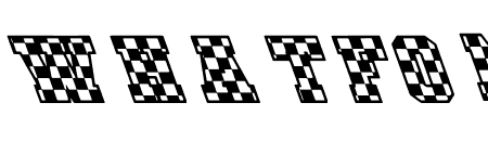 CHECKERED RACE Italic Back