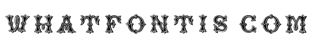 Reveler Regular