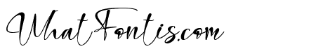 holi christmas eve Italic