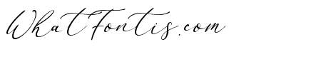 California Signature Italic
