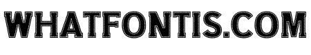 Basketball Sport