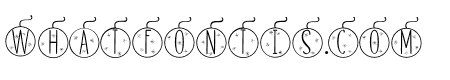 Skinny monogram02 Regular