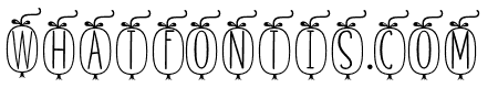 Skinny monogram03 Regular