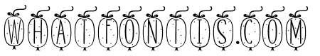 Skinny monogram04 Regular