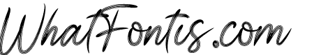 Signature Business