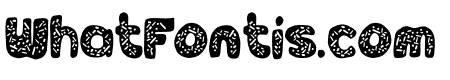 DinoTypeDonut