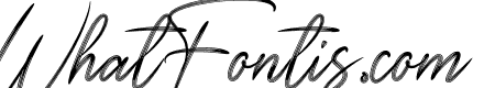Signature Christmas
